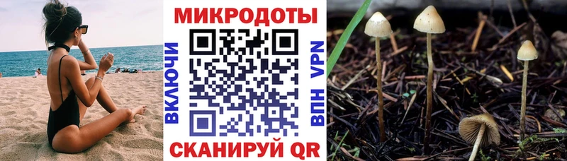 Псилоцибиновые грибы мухоморы  Сосенский 