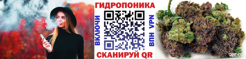 mega ONION  Сосенский  Канабис VHQ 